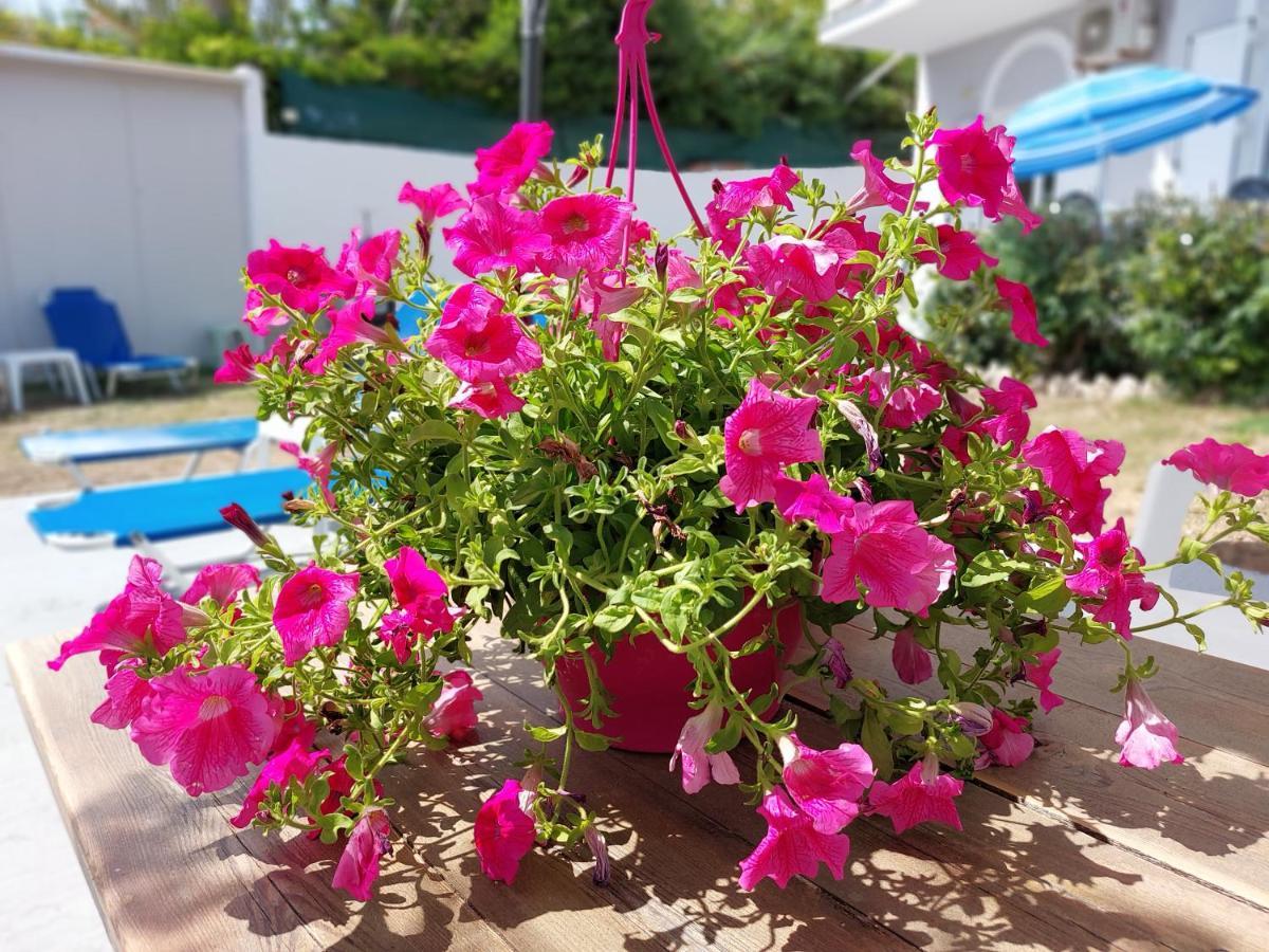 Leta Apartments Agios Georgios  Exteriér fotografie