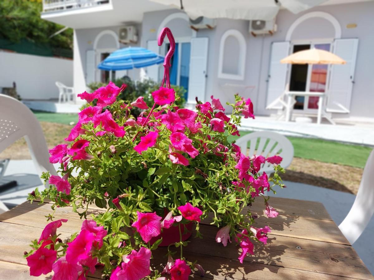 Leta Apartments Agios Georgios  Exteriér fotografie